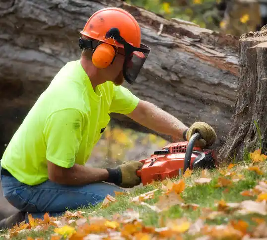 tree services Wallace